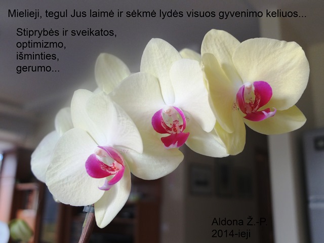 2014_ieji_2_II_a.jpg