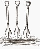 A-z50 1. I_1.jpg