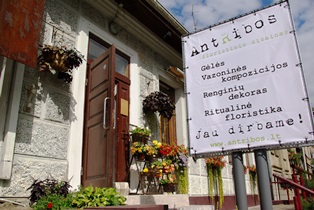 Ant_ribos_II.jpg