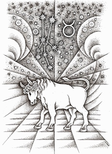 Jautis (Tauro zvaigzdynas ) II_6.jpg
