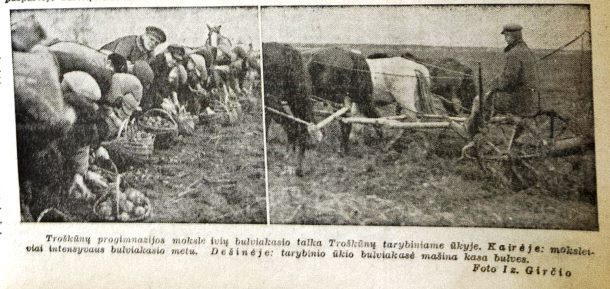 Kaunodiena_1_II.jpg