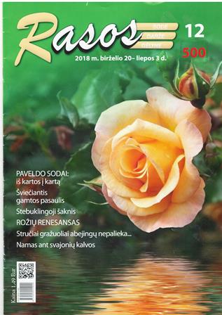 Rasos_1_II.jpg