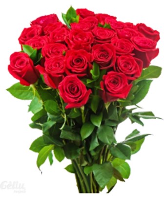Rozes_II.jpg