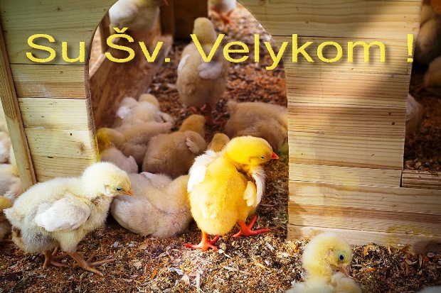 Su_sv__velykom_II.jpg