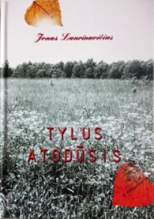 jonas_laurynavicius_tylus_atodusis_3_II.jpg