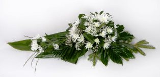 phoca_thumb_l_IMG_0439_II.jpg